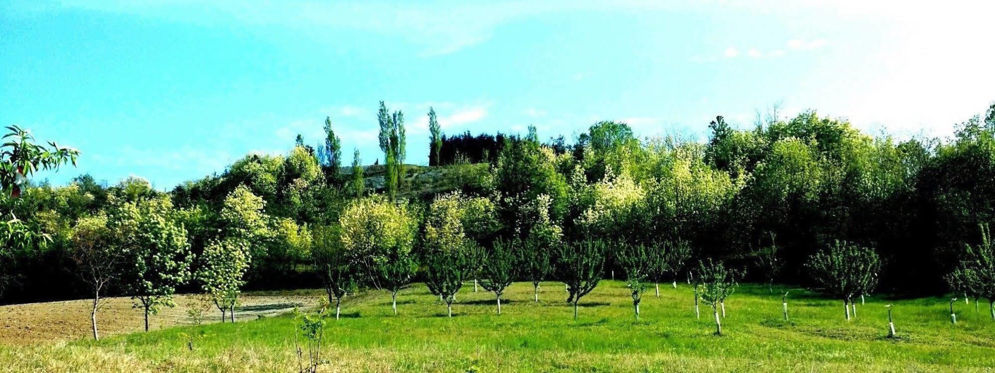 Tenuta Valdorso - Agri Resort Montechiaro D'acqui Εξωτερικό φωτογραφία